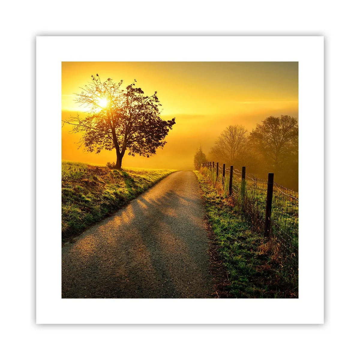 Poszter - Mézes délután - 40x40 cm