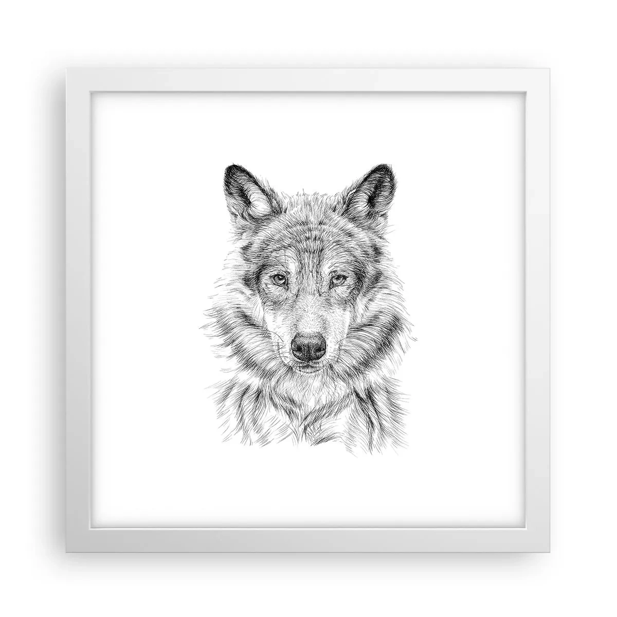 Poszter fekete keretben - Született vezető - 30x30 cm