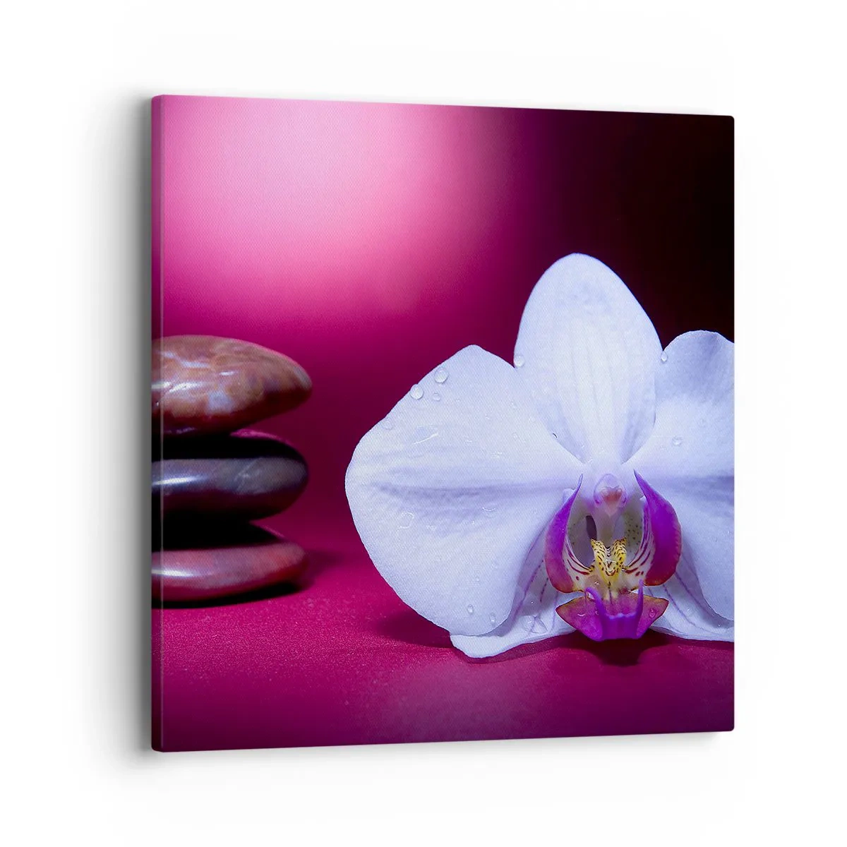 Vászonkép - A frissesség tanulmánya lilában - 40x40 cm