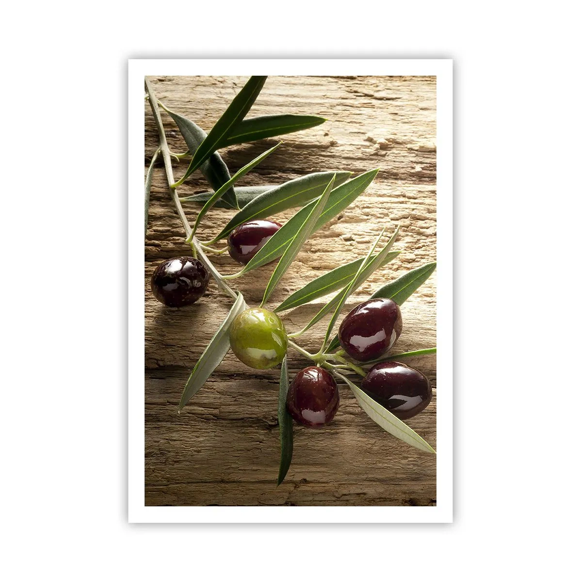 Poszter - Egyenesen a természetből - 70x100 cm