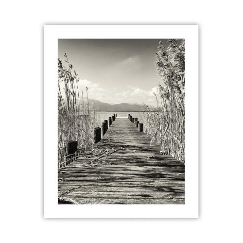 Poszter - A fű csendjében - 40x50 cm