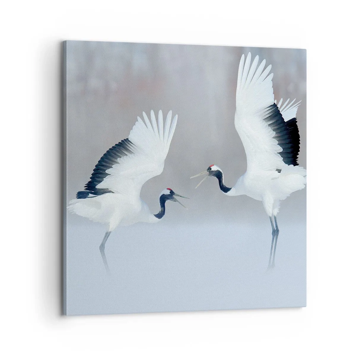 Vászonkép - Tánc a ködben - 60x60 cm