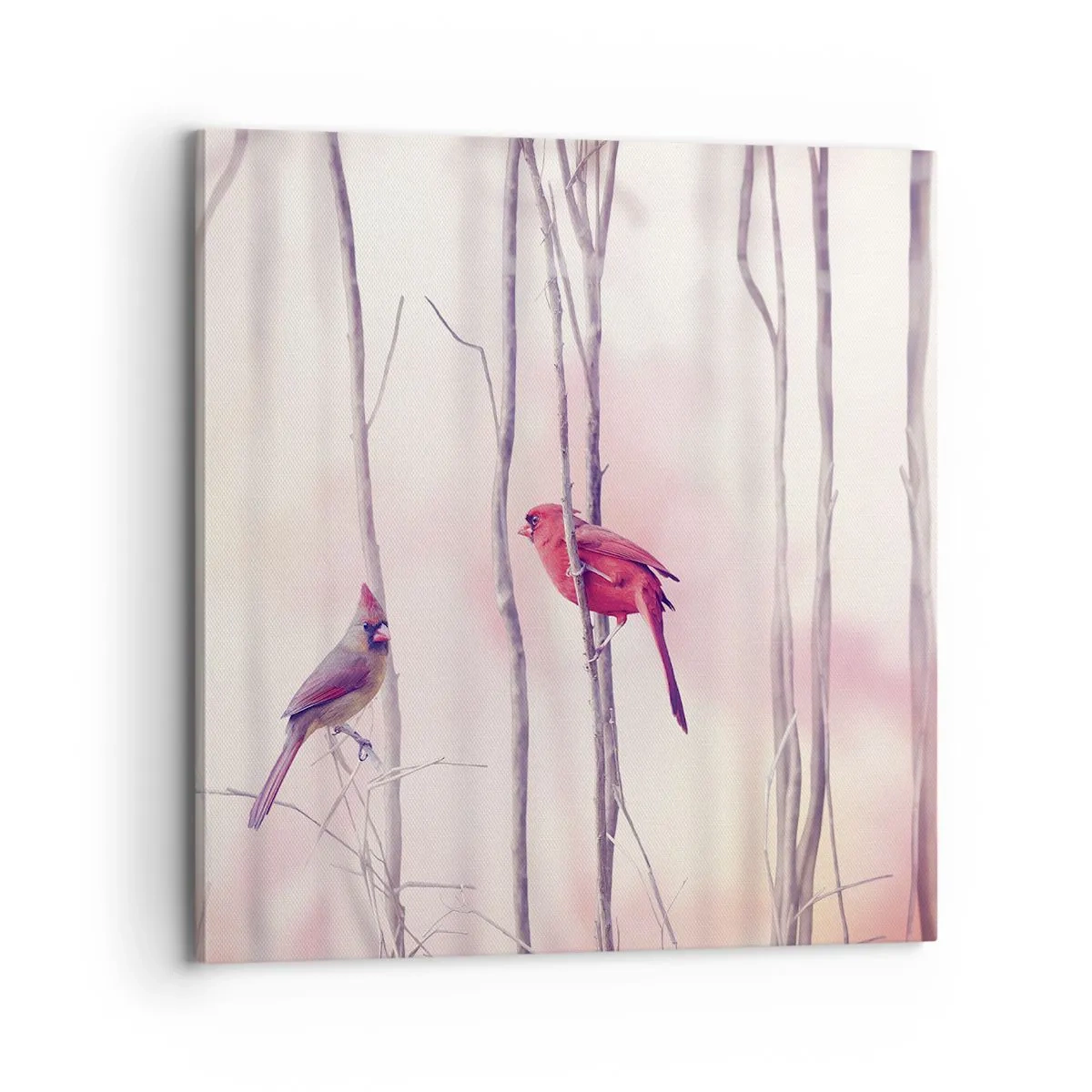 Vászonkép - Rózsaszín erdő története - 70x70 cm