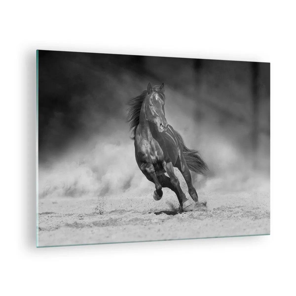 Üveg kép - Egy fekete ló vágtat a homokon fekete-fehérben. - 70x50cm - Az emírhez méltó - Modern fali dekoráció nappalihoz és hálószobához ARTTOR