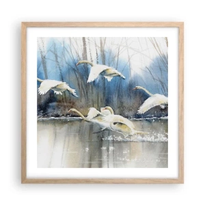 Poszter világos tölgy keretben - Mint a vadhattyúkról szóló mesében - 50x50 cm