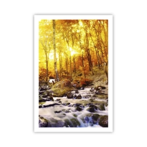 Poszter - Kövek aranyba és platinába - 61x91 cm