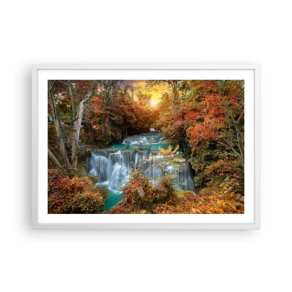 Poszter fekete keretben - Az erdő rejtett kincse - 70x50 cm