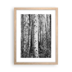 Poszter világos tölgy keretben - Nyírfa oszlopsor - 30x40 cm