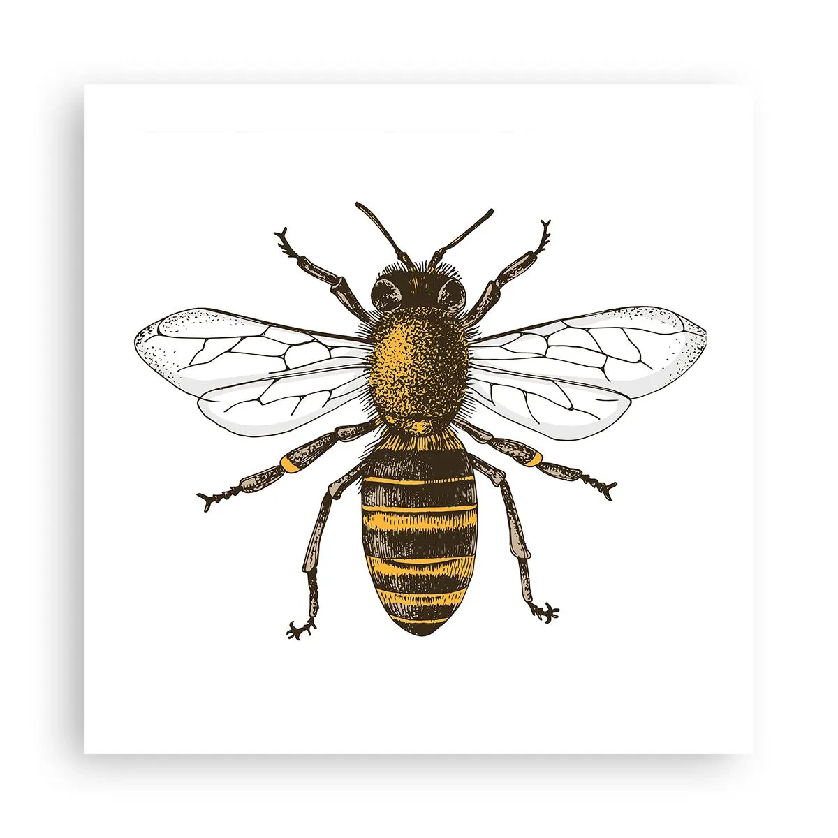 Poszter - Gyönyörű és jó - 50x50 cm