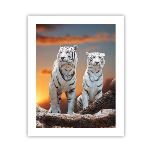 Poszter - Akárcsak Narnia - 40x50 cm