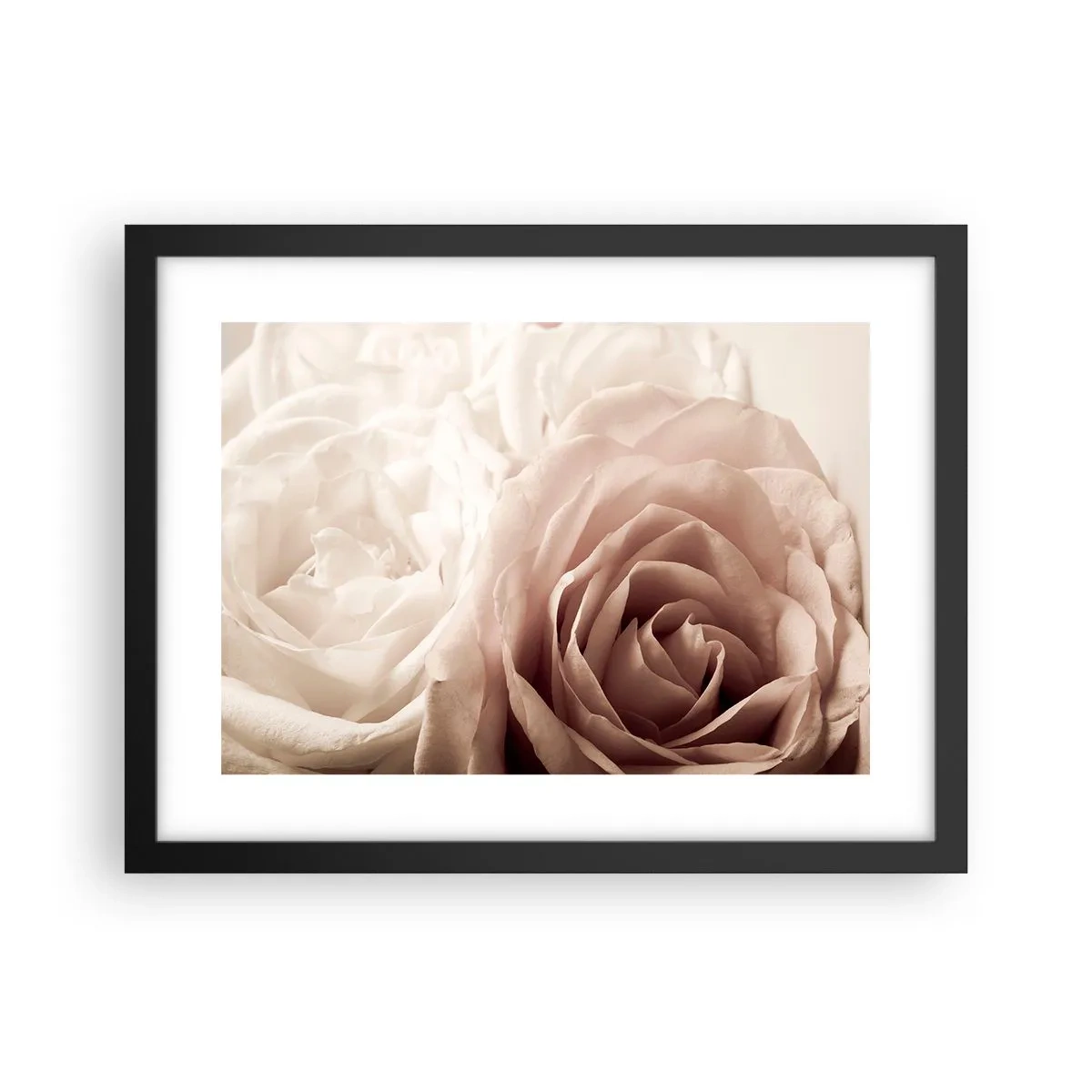 Poszter fehér keretben - Egy rózsa szívében - 40x30 cm