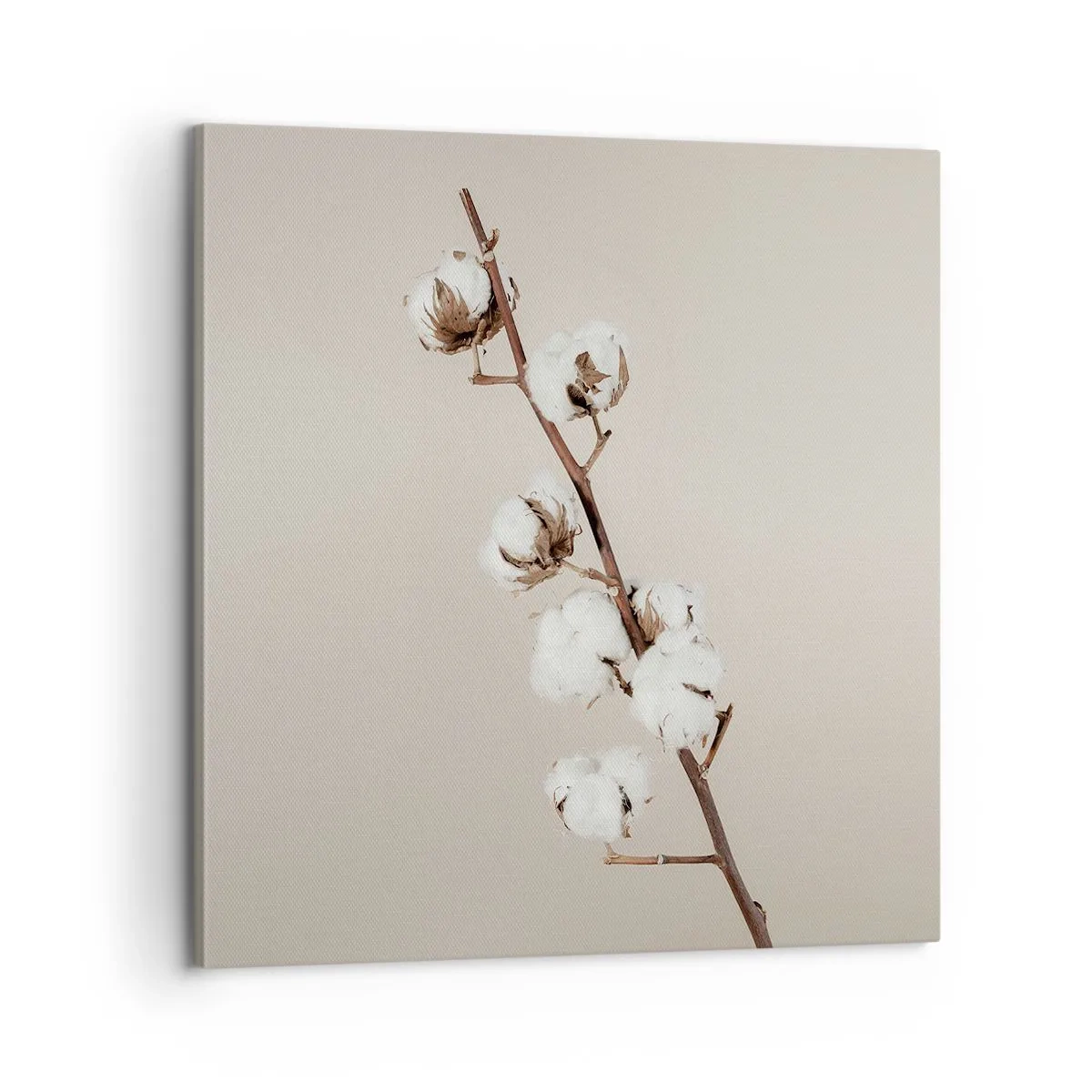 Vászonkép - A puhaság forrásánál - 60x60 cm