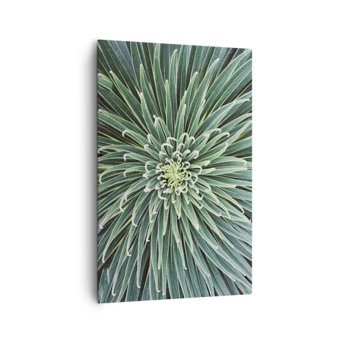 Vászonkép - Csillag születik - 80x120 cm