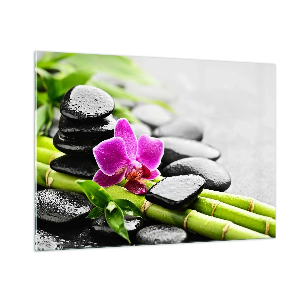 Üveg kép - Nyugodt egyensúlyban - 100x70 cm