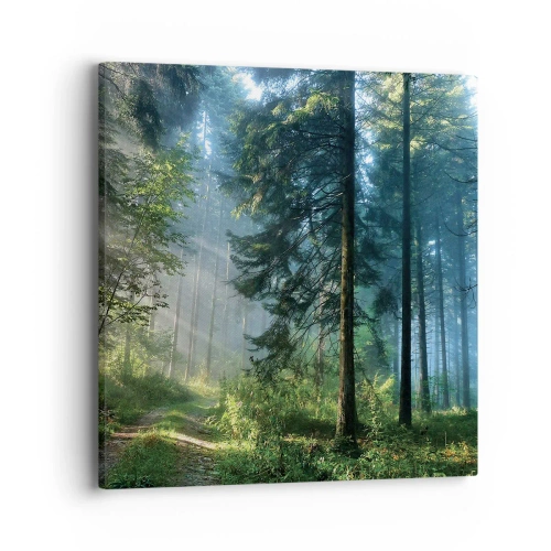 Vászonkép - Sugárzó reggel - 40x40 cm