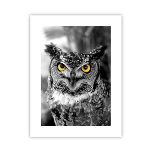 Poszter - Semmi sem fog elbújni - 30x40 cm