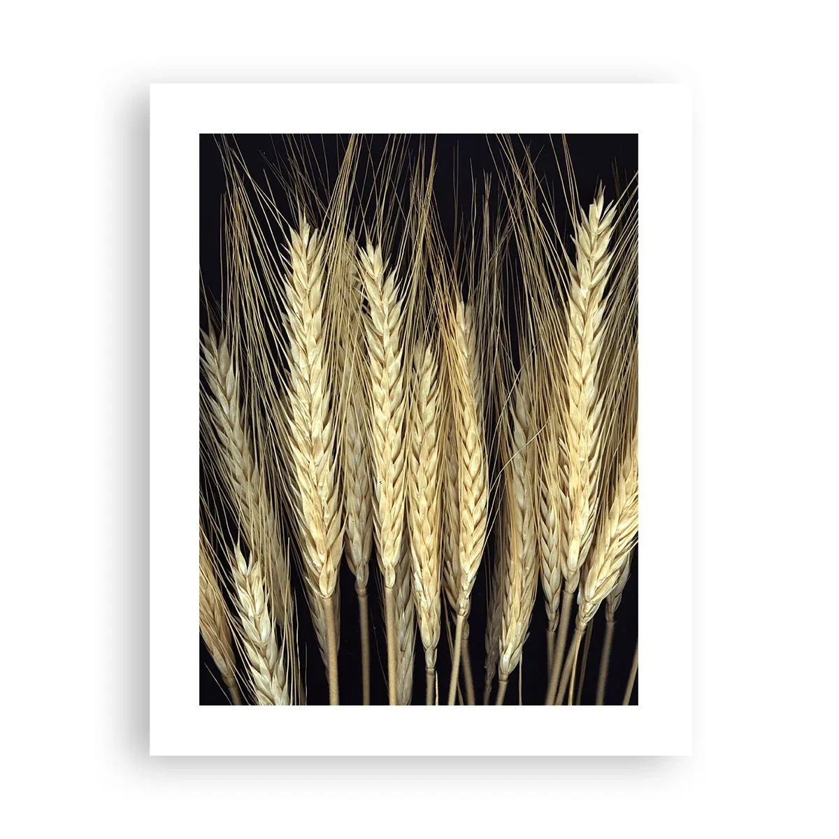 Poszter - Rusztikus varázslat - 40x50 cm