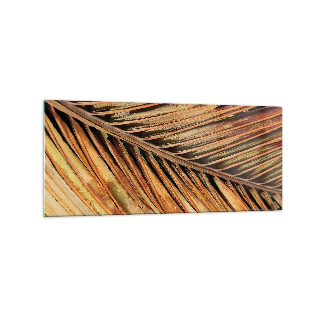 Üveg kép - Kókusz aranya - 120x50 cm