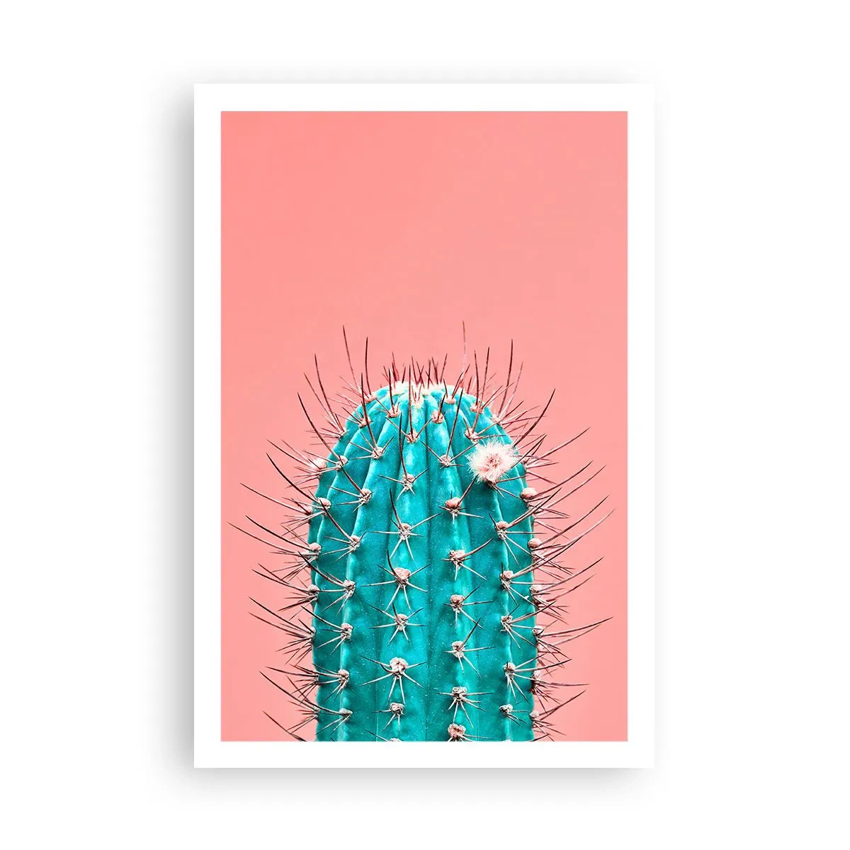 Poszter - Csak nézz - 61x91 cm