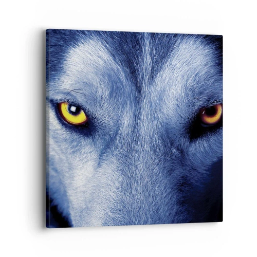 Vászonkép - Hipnotizáló nézés - 40x40 cm