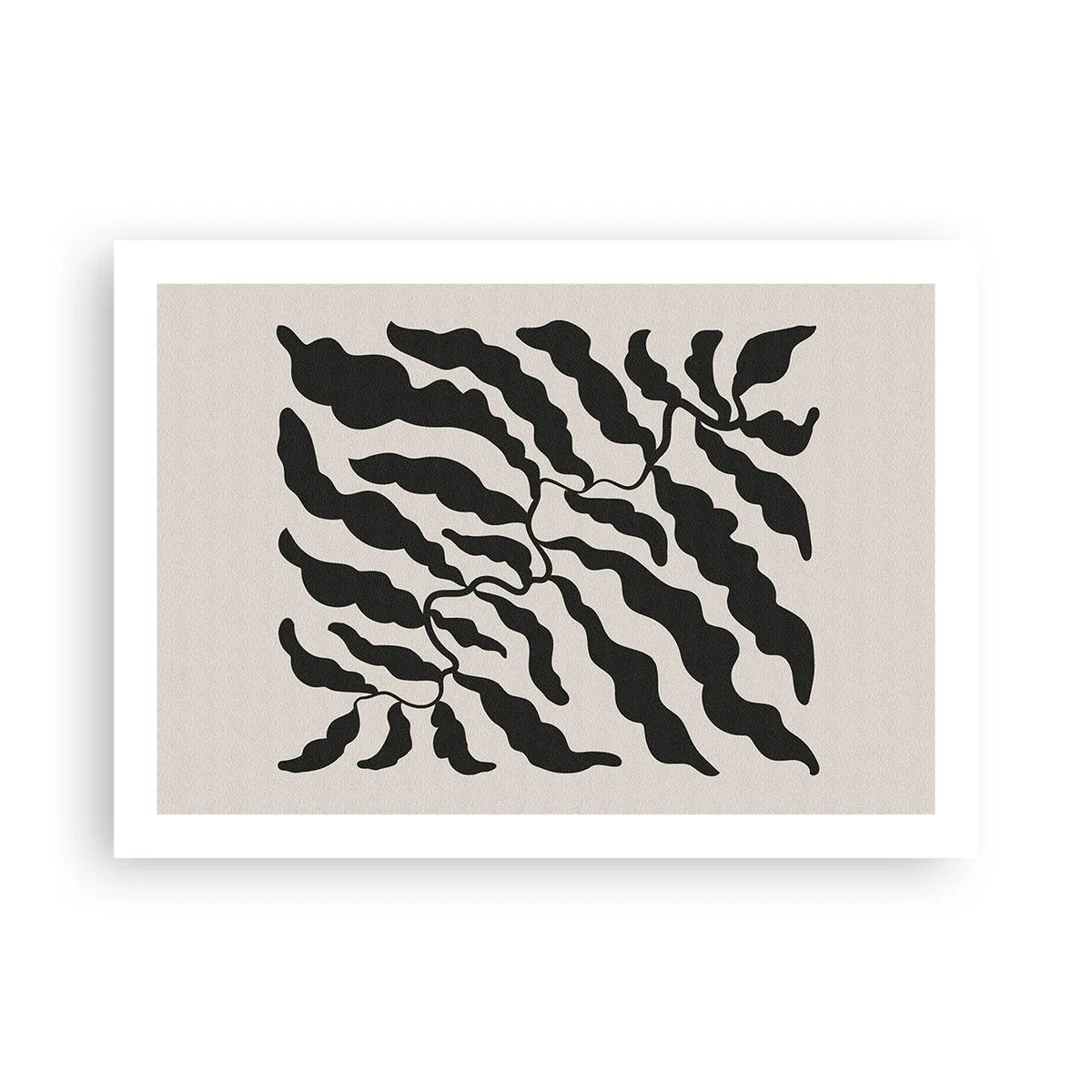 Poszter - A tér természete - 70x50 cm