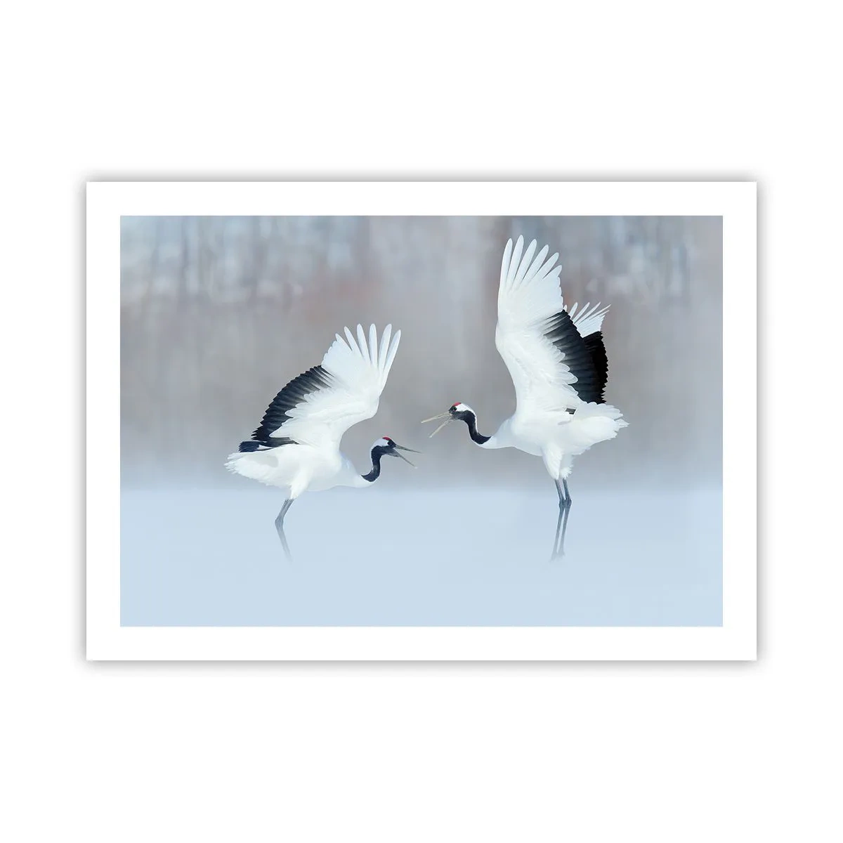 Poszter - Tánc a ködben - 70x50 cm