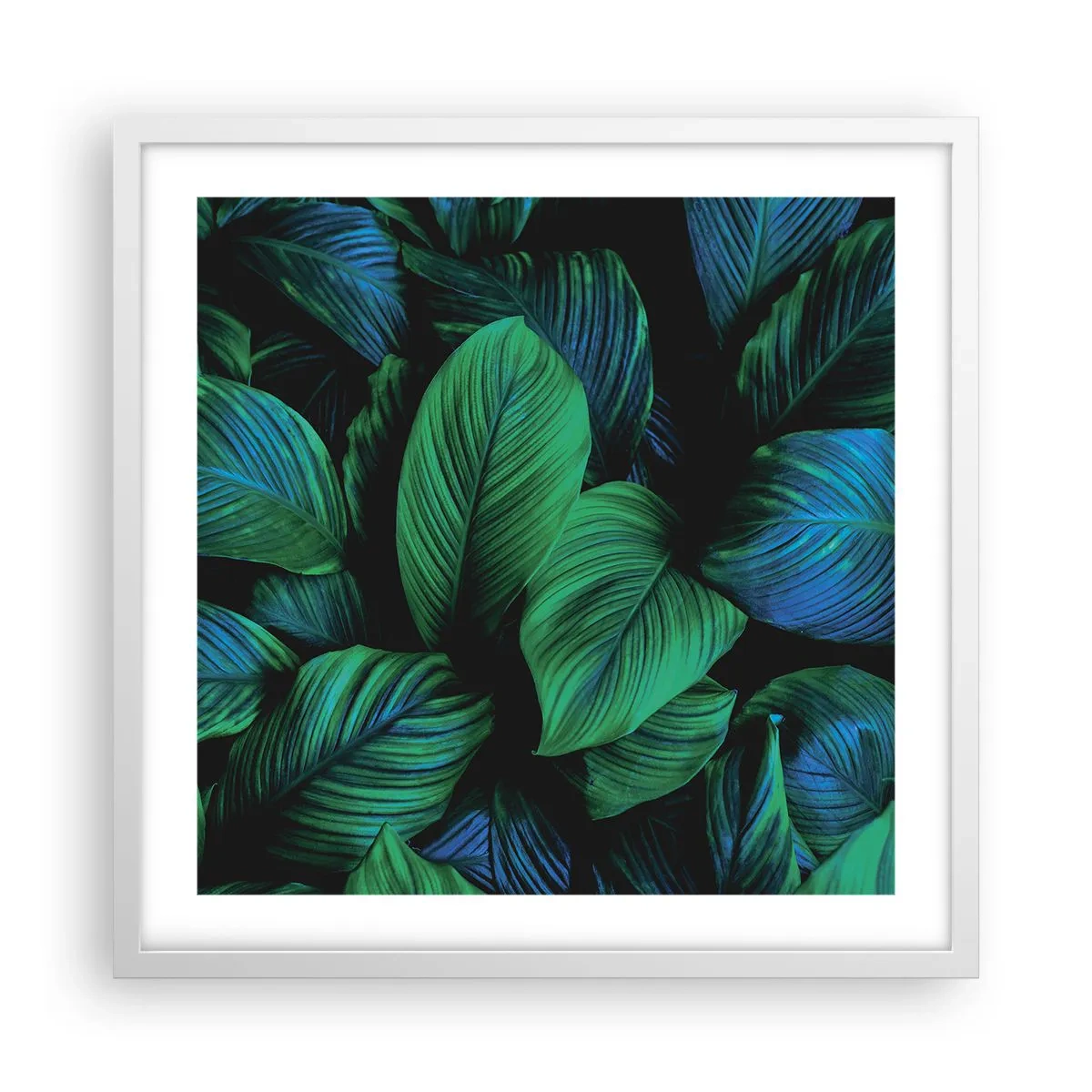 Poszter fekete keretben - A zöld tömegben - 50x50 cm