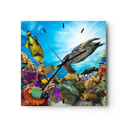 Falióra, Óra - Korall sétány - 40x40 cm