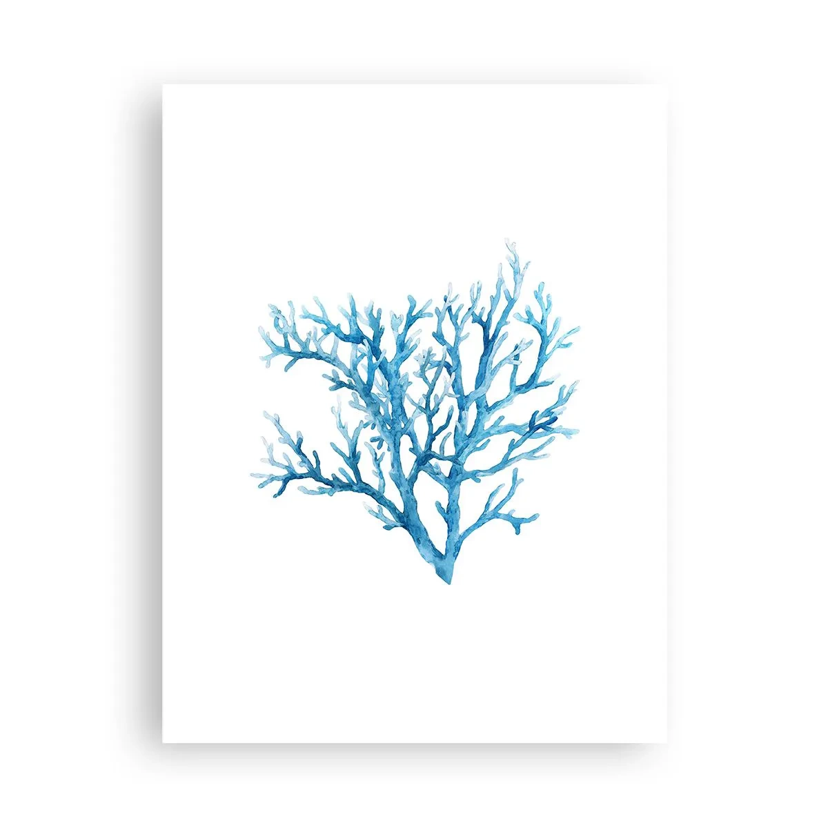 Poszter - Tengeri filigrán - 30x40 cm