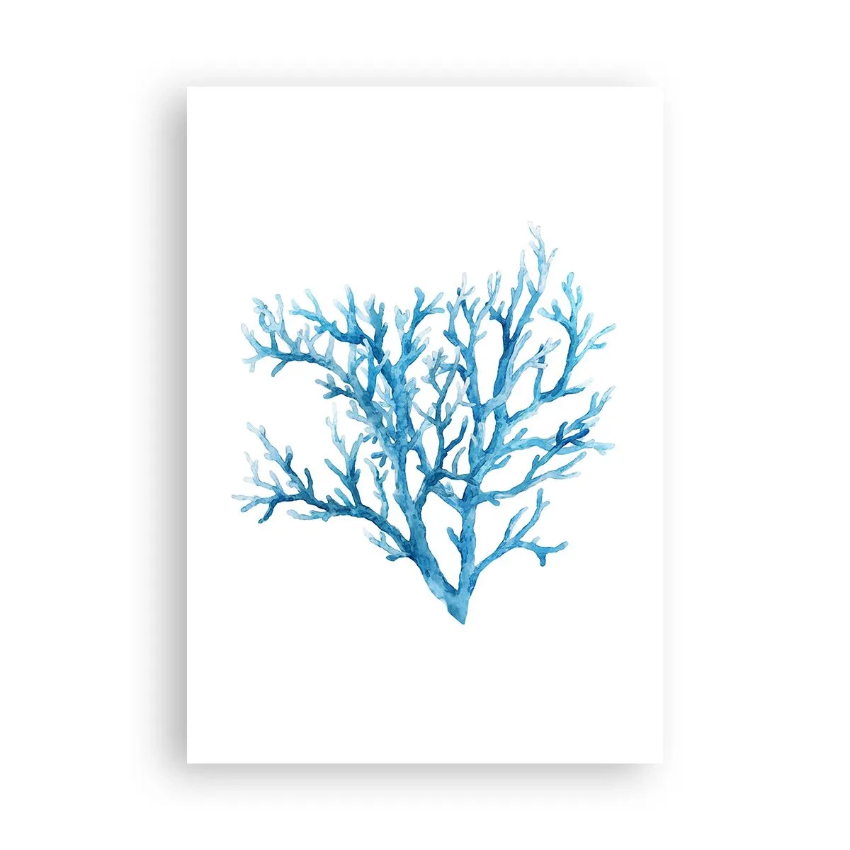 Poszter - Tengeri filigrán - 70x100 cm