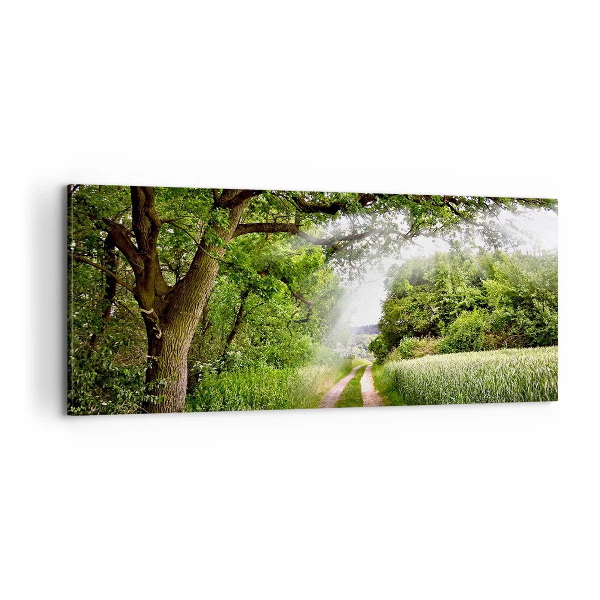 Vászonkép - Et in Arcadia ego - 100x40 cm