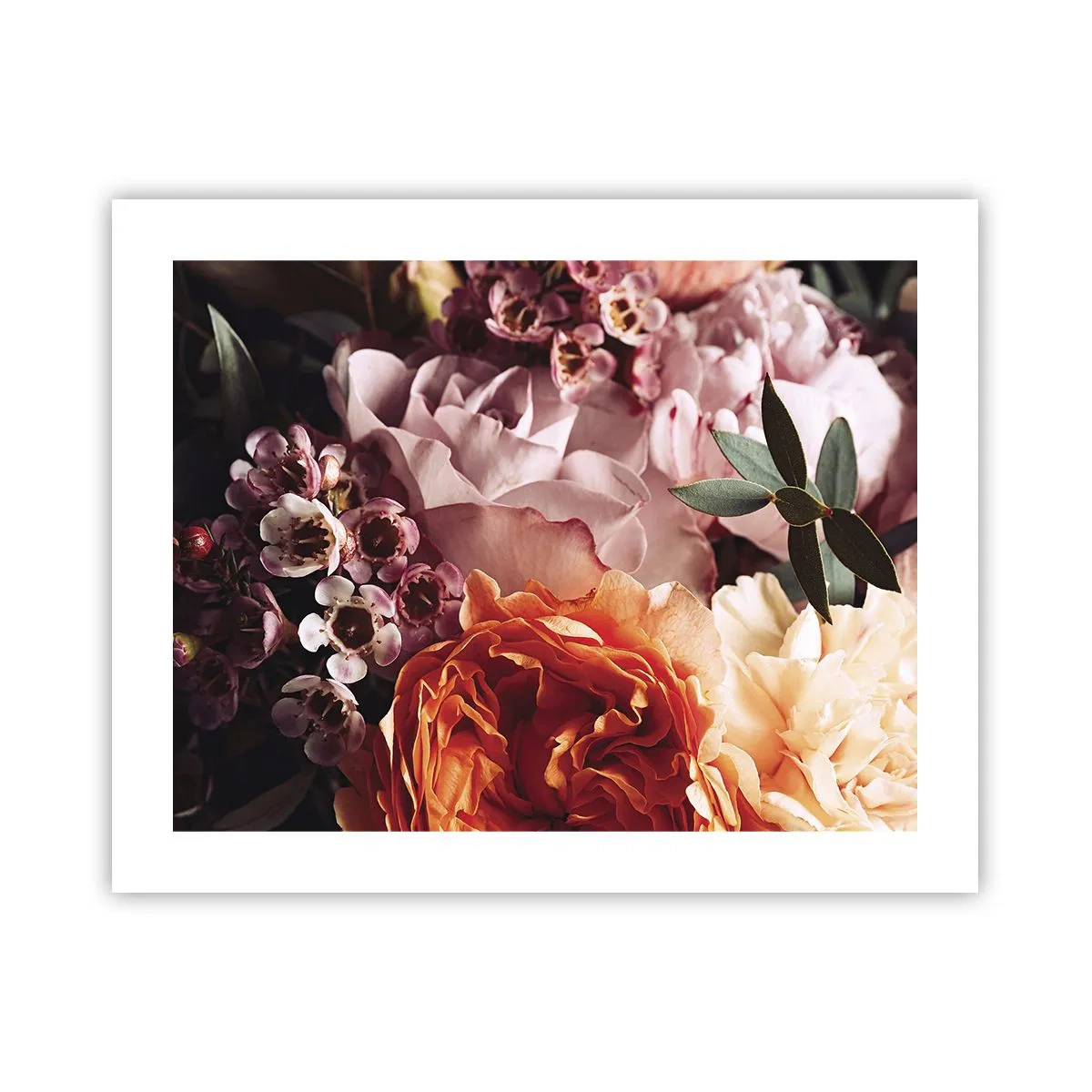 Poszter - Szépségbe burkolózva - 50x40 cm