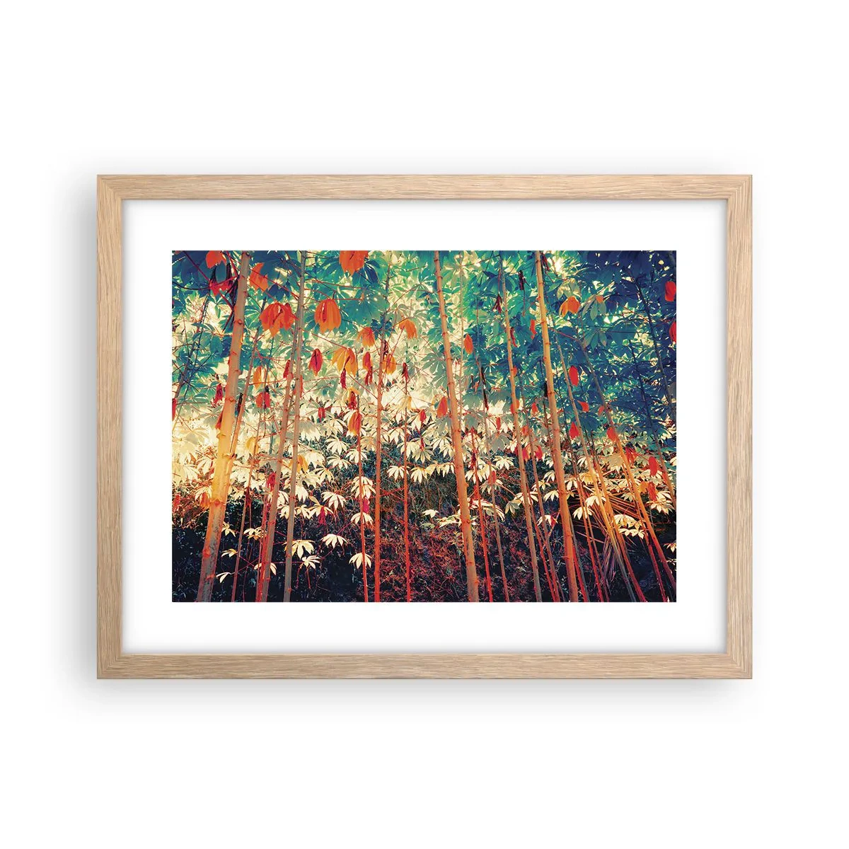 Poszter világos tölgy keretben - A levelek titkos élete - 40x30 cm