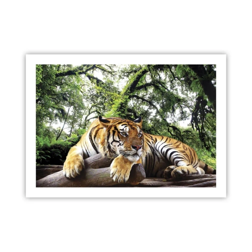 Poszter - Tisztelettel - 70x50 cm