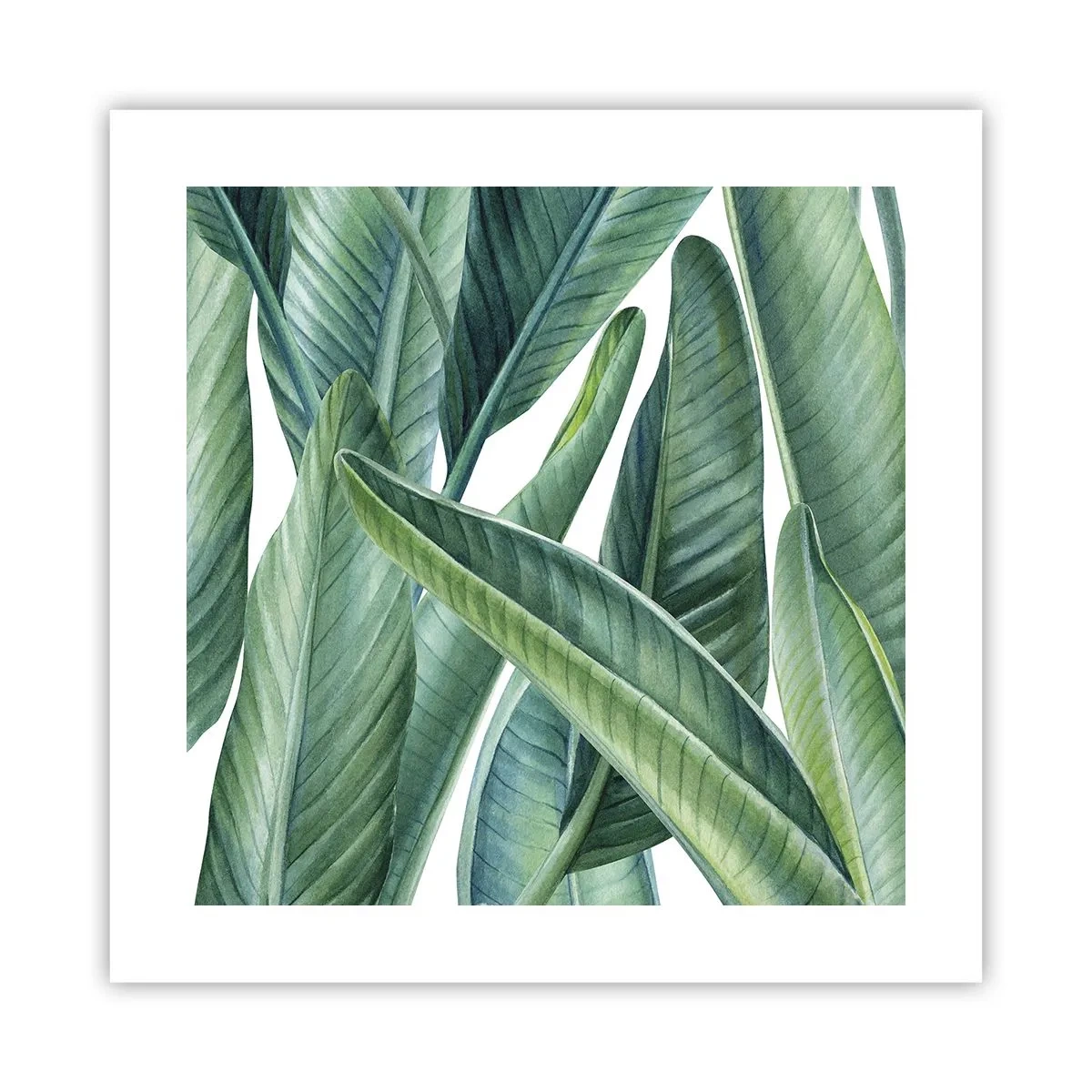 Poszter - Zöld önmagában - 40x40 cm