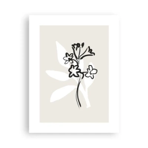 Poszter - Vázlat egy herbáriumhoz - 30x40 cm