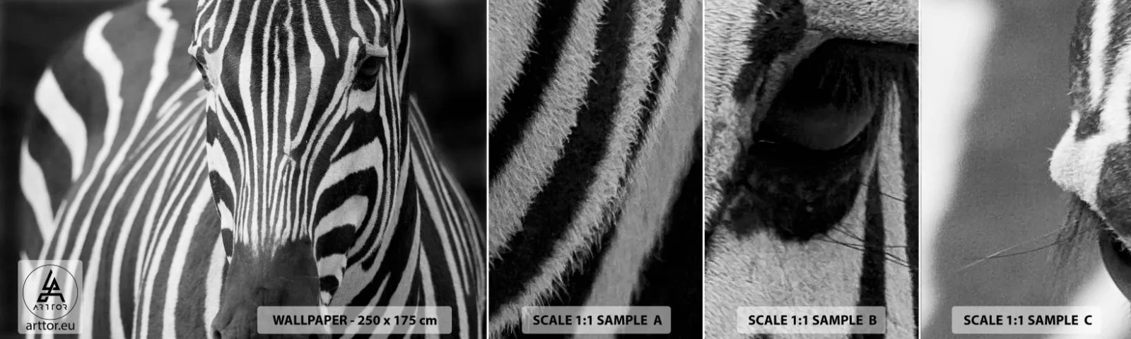 Fotótapéta Minta Standard Eco - A világ fekete-fehér - Állatok, Borda, Fekete és fehér - 100x30 cm