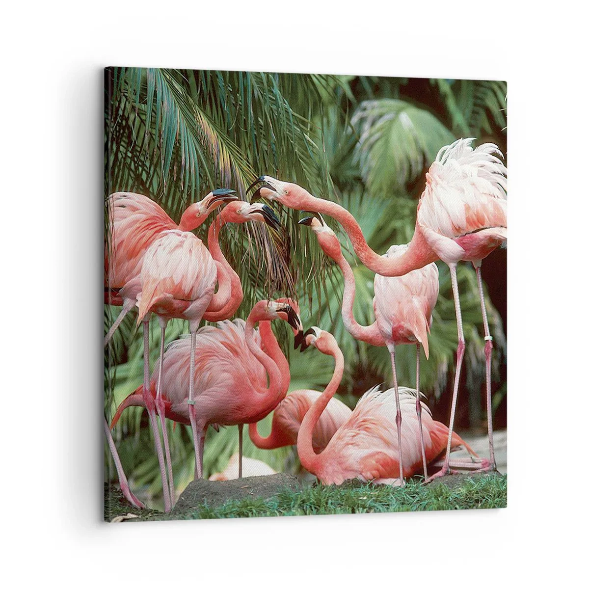 Vászonkép - Délutáni pletyka - 50x50 cm