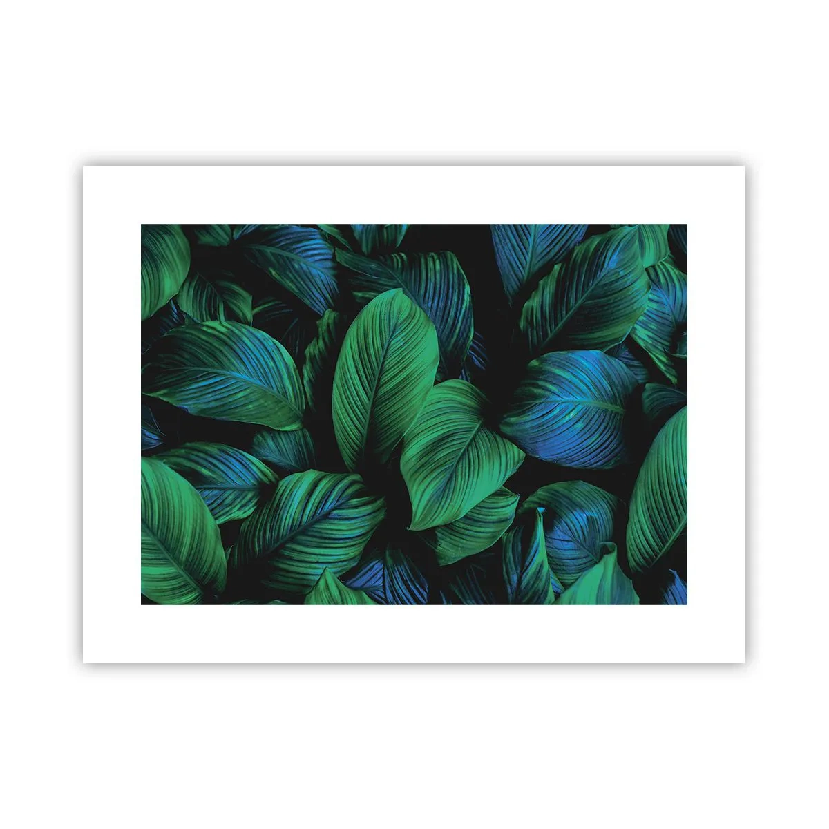 Poszter - A zöld tömegben - 40x30 cm