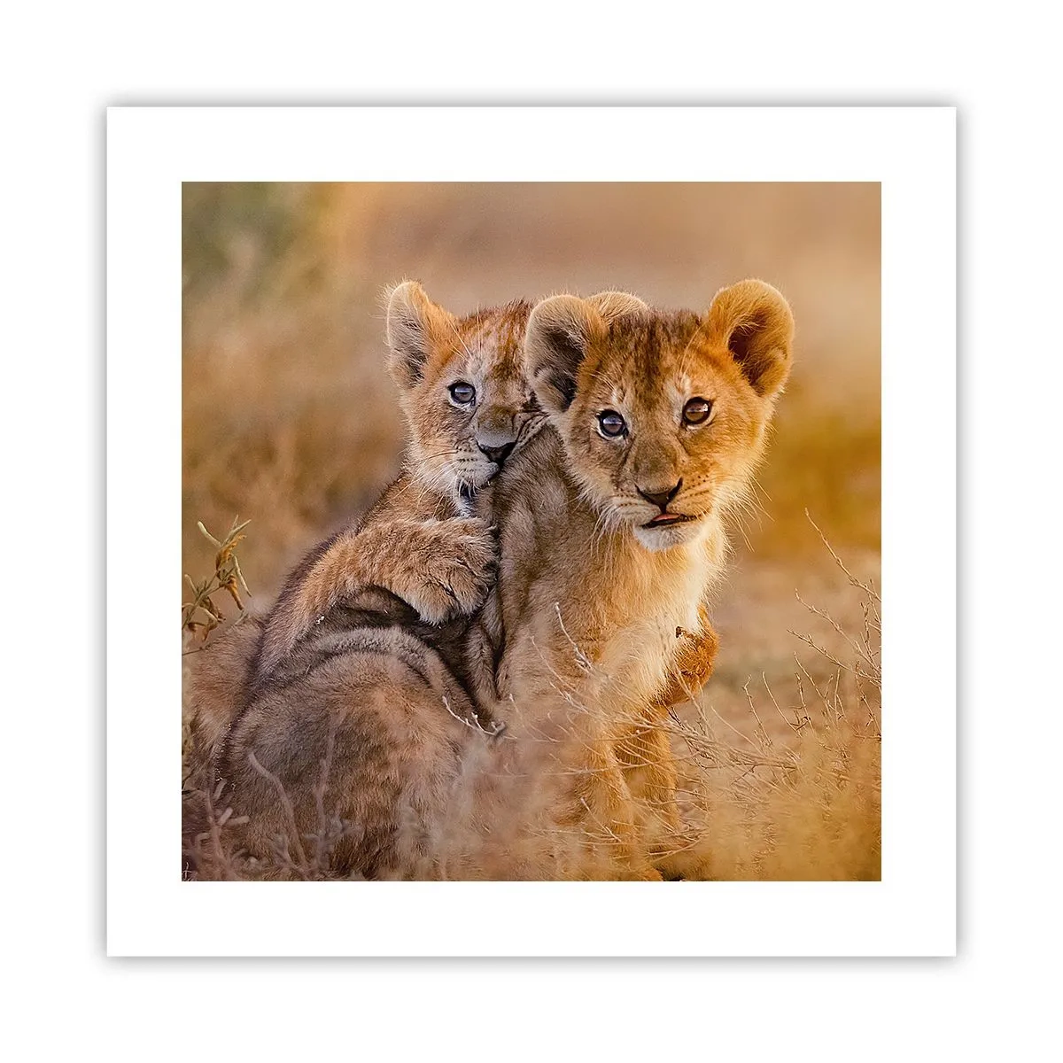 Poszter - Ne zavarni! Szórakozunk - 40x40 cm