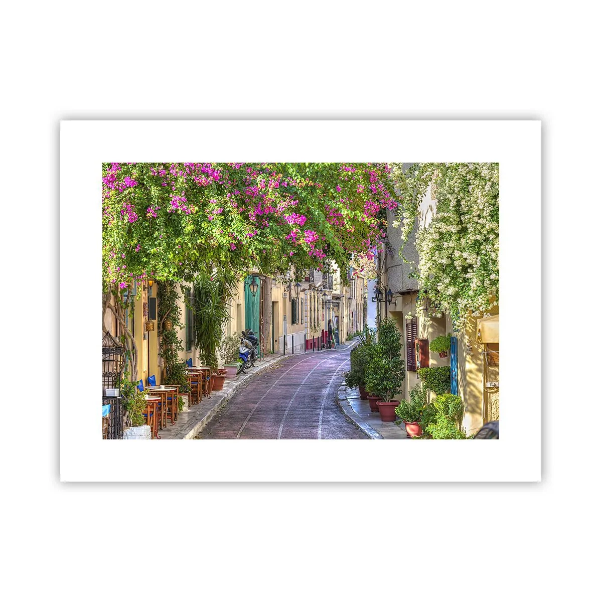 Poszter - Virágzó sikátor - 40x30 cm
