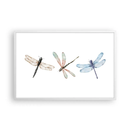 Poszter fekete keretben - Súlytalan szitakötők - 91x61 cm