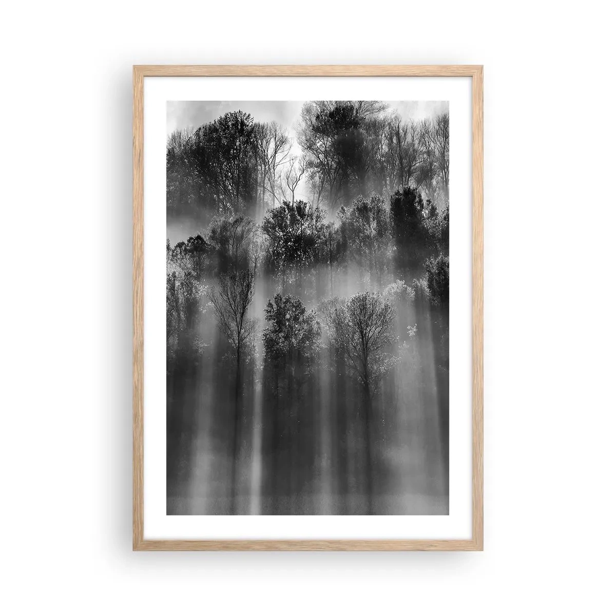 Poszter világos tölgy keretben - Fénypatakokban - 50x70 cm