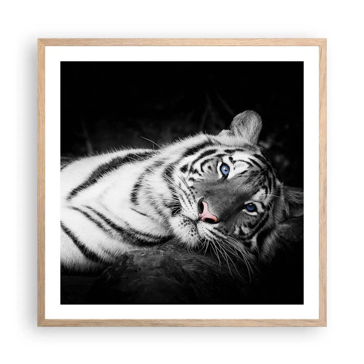 Poszter világos tölgy keretben - Vadság és nyugalom - 60x60 cm