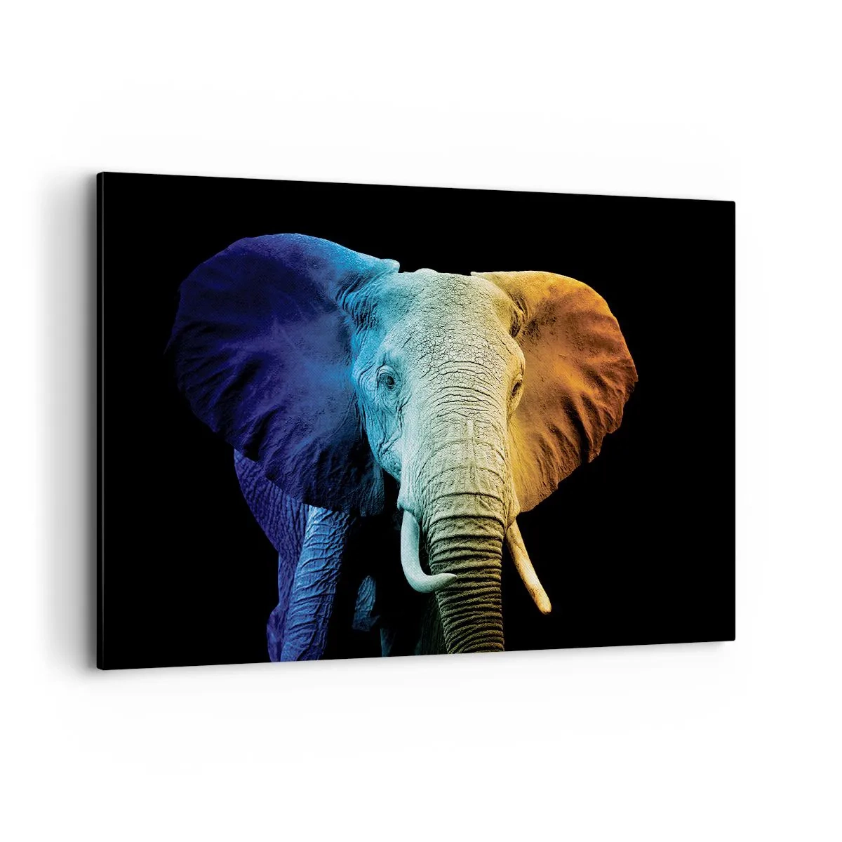 Vászonkép - Excentrikus, nem különc - 100x70 cm