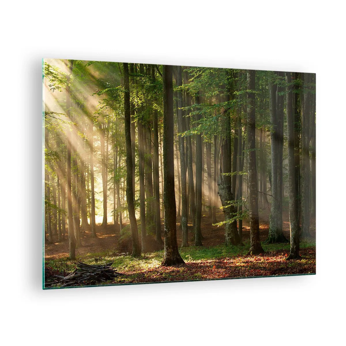 Üveg kép - Napsugarak sütnek át az erdő fái között - 70x50cm - Ragyogó tavaszi reggelen - Modern fali dekoráció nappalihoz és hálószobához ARTTOR
