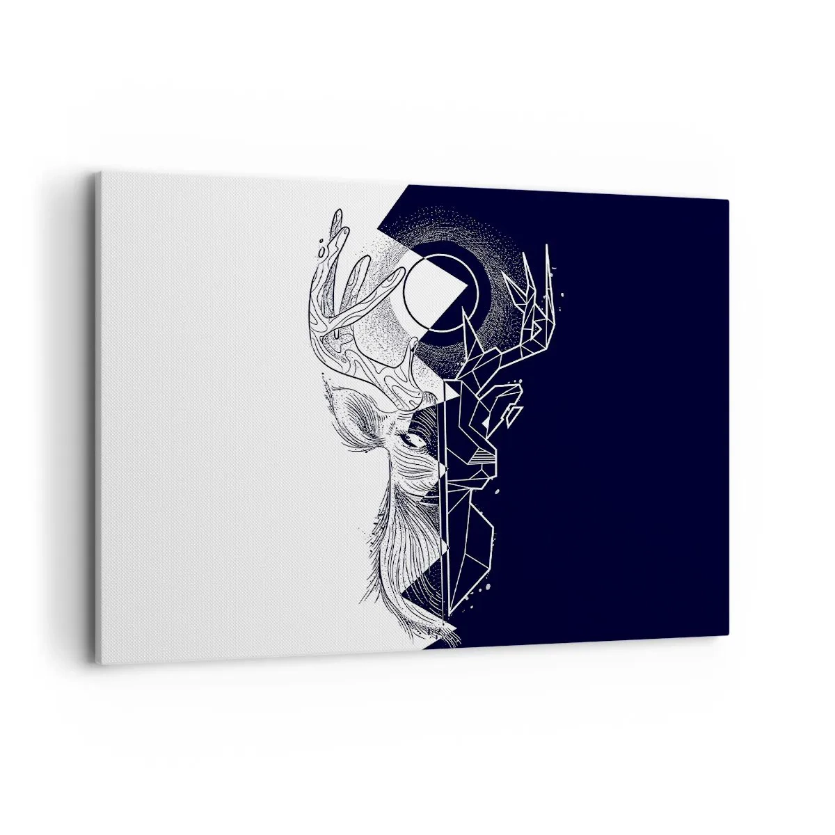 Vászonkép - Az ellentétek harca és egysége - 100x70 cm