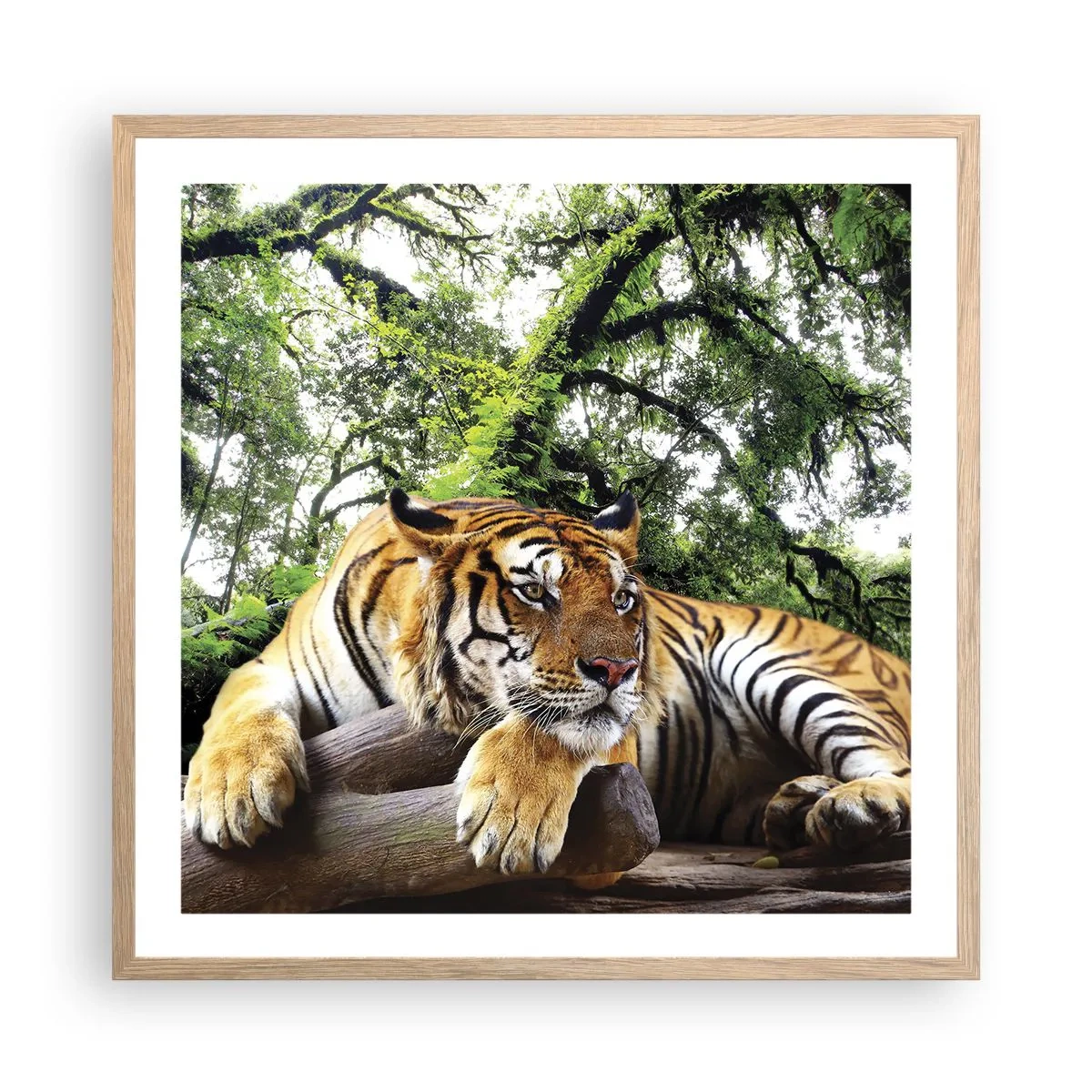 Poszter világos tölgy keretben - Tisztelettel - 60x60 cm