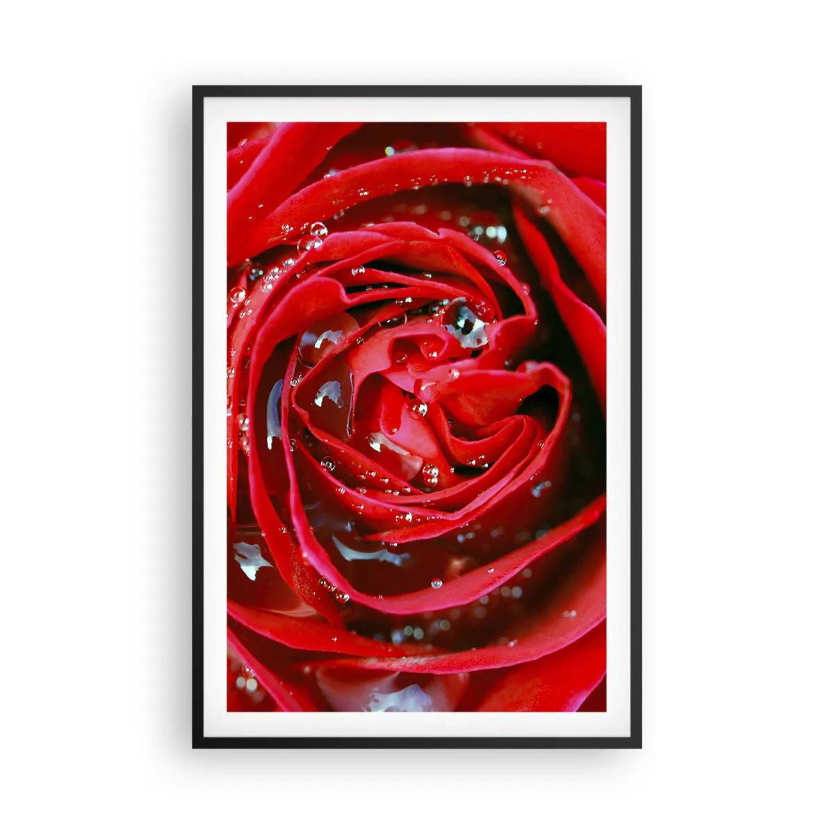 Poszter fehér keretben - A harmatcseppekben - 61x91 cm