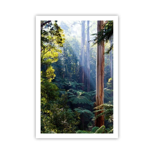 Poszter - Erdei mese - 61x91 cm